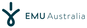 EMU shoes